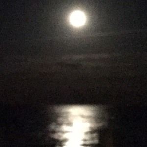 Meet your Posher, Don